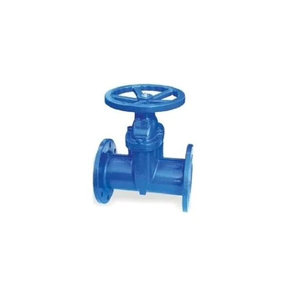 Klepsan 1180 Elastomer Sürgülü Vana F4 Gg40 Dn50 - 1