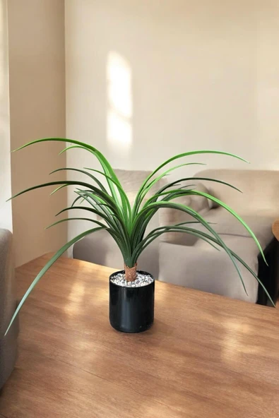 YAPAY ÇİÇEKÇİNİZ TAŞ KAPLI SİYAH RENKLİ SAKSIDA 55 CM YAPAY YUKA AĞACI - Resim 3