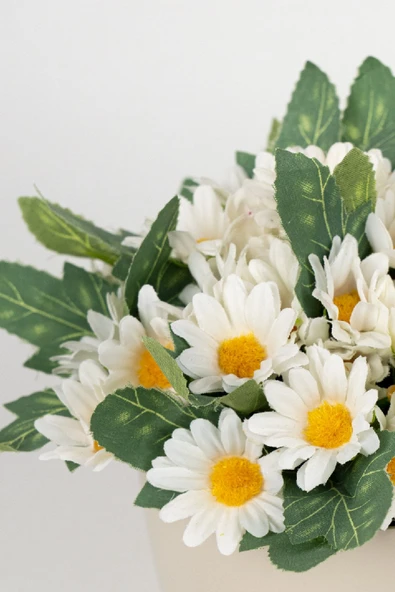 YAPAY ÇİÇEKÇİNİZ Beyaz Saksıda Yapay Papatya - Resim 2