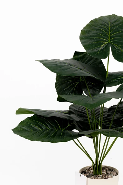 Taş Detaylı Beyaz Saksıda 12 Yapraklı 50 cm Yapay Salon Çiçeği - Resim 12