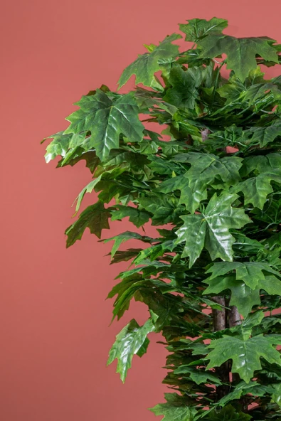 YAPAY ÇİÇEKÇİNİZ 140 Cm Yeşil Çınar Ağacı - Resim 2