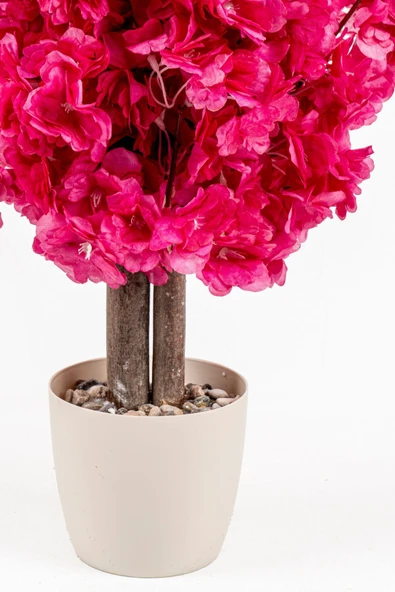 Taş Detaylı Siyah Saksıda 60 Cm Yoğun Yapraklı Yapay Benjamin Ağacı - Resim 3