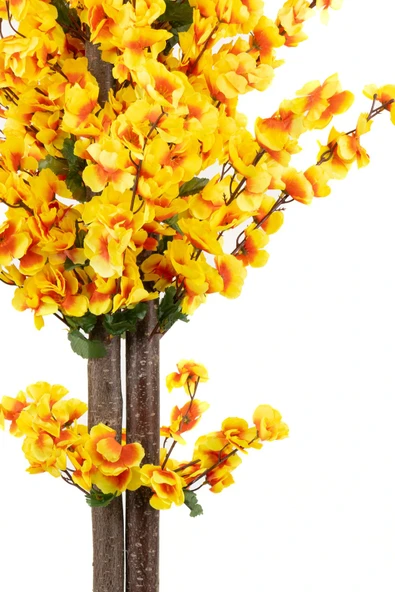 Siyah Saksıda Turuncu Sarı Renkli 120 cm Japon Bahardalı Ağacı - Resim 4