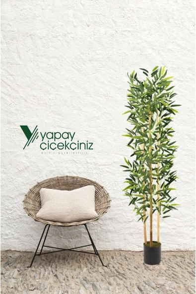 YAPAY ÇİÇEKÇİNİZ Yapay Yoğun Yapraklı Dekoratif Bambu Ağacı 3 Gövde 150cm - 3