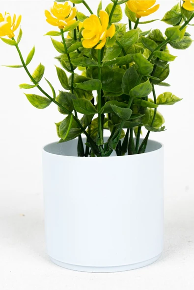 Beyaz Mini Saksıda Yapay Çiçek - Resim 6