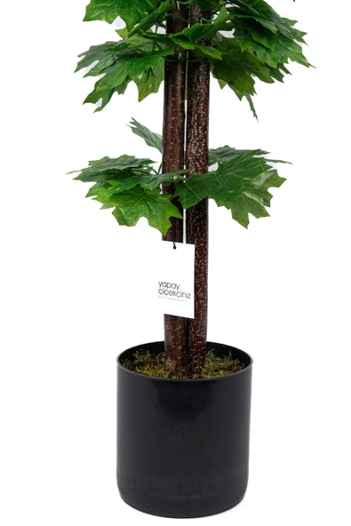 Çim Detaylı Saksıda 110 Cm Yapay Çınar Ağacı - 9