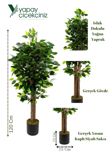YAPAY ÇİÇEKÇİNİZ 120 Cm Benjamin Ağacı - Resim 4