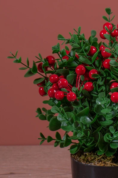 YAPAY ÇİÇEKÇİNİZ Siyah Saksıda Yapay Kokina Ağacı - Resim 2