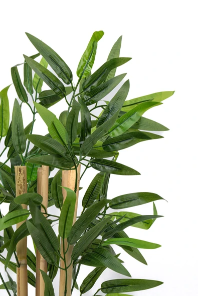 Taş Detaylı Saksıda 60 Cm Yapay Bambu Ağacı - Resim 8