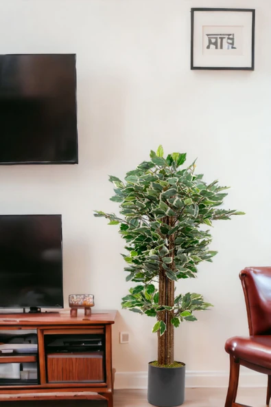 YAPAY ÇİÇEKÇİNİZ Gri Saksıda 100 Cm Yeşil Beyaz Yapay Benjamin Ağacı - Resim 4