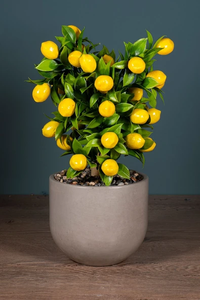 YAPAY ÇİÇEKÇİNİZ Gri Beton Saksıda Yapay Limon Ağacı - Resim 2