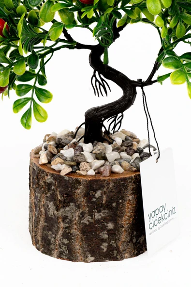 Taş Detaylı Odun Saksıda Yapay Bonsai Ağacı - 4