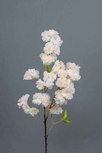 Yapay Lüks Bahardalı ürün görseli 1