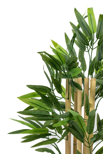 Taş Detaylı Saksıda 60 Cm Yapay Bambu Ağacı - Resim 3
