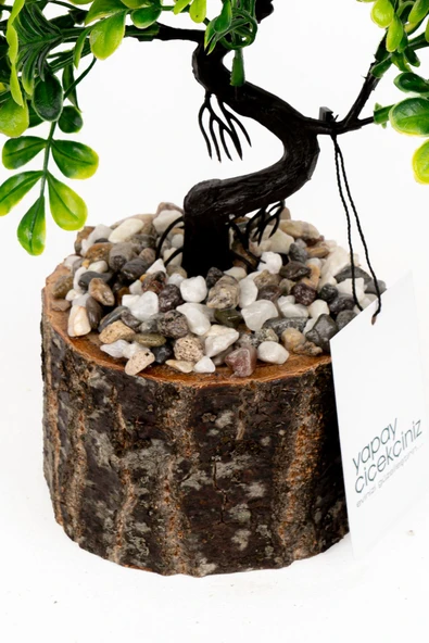 Taş Detaylı Odun Saksıda Yapay Bonsai Ağacı - 6
