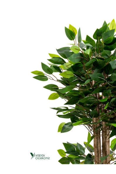 YAPAY ÇİÇEKÇİNİZ 2 Adet Gri Saksıda Çim Detaylı 100 Cm Yapay Benjamin ve Yapay Bambu Ağacı - Resim 7