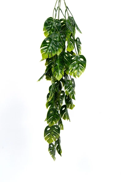 YAPAY ÇİÇEKÇİNİZ Yapay Dekor Sarmaşık - Resim 2