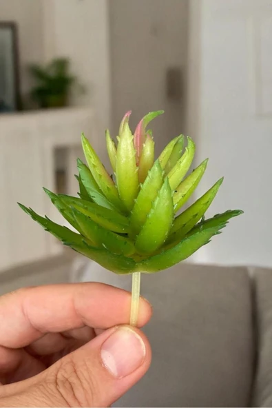 Yapay Sukulent Kaktüs - Resim 3