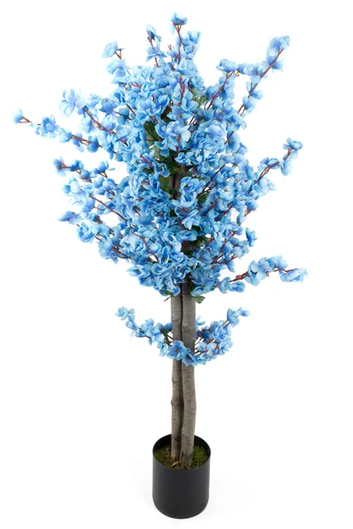 Siyah Saksıda Turuncu Sarı Renkli 120 cm Japon Bahardalı Ağacı - Resim 8