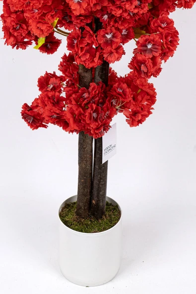 Çim Detaylı Beyaz Saksıda Kırmızı Renkli 100 cm Yapay Salon Bitkisi - Resim 4