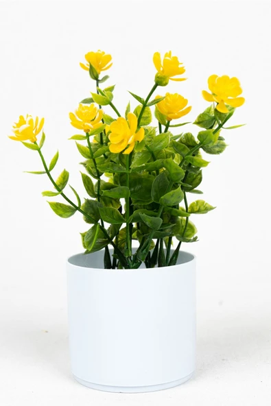 Beyaz Mini Saksıda Yapay Çiçek - Resim 4