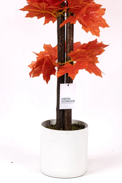 Çim Detaylı Saksıda 110 Cm Yapay Çınar Ağacı - 4