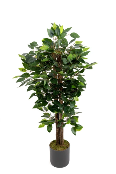 YAPAY ÇİÇEKÇİNİZ Yapay Benjamin Ağacı 110 Cm - Resim 2