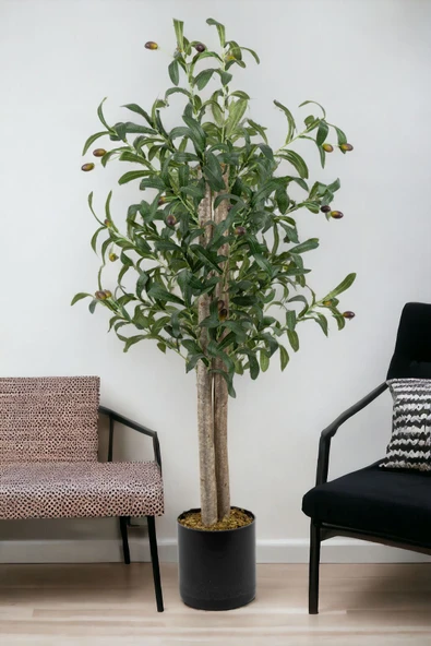YAPAY ÇİÇEKÇİNİZ Siyah Saksıda 100 Cm Yapay Zeytin Ağacı - Resim 5