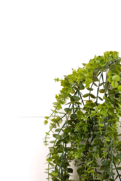 YAPAY ÇİÇEKÇİNİZ Beyaz Plastik Saksıda Yoğun Yapraklı 70 Cm Yapay Sarkan Şimşir - Resim 4