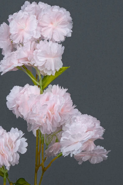 Yapay Lüks Bahardalı - Resim 9