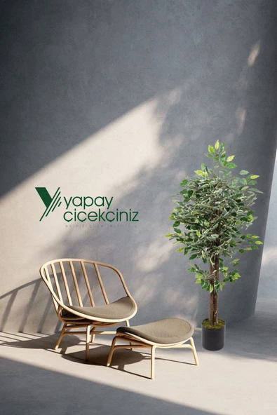 YAPAY ÇİÇEKÇİNİZ 120 Cm Yeşil Beyaz Yapay Benjamin Ağacı - Resim 3