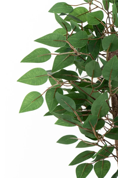 YOĞUN YAPRAKLI 2 GÖVDE YAPAY BENJAMİN AĞACI 110 CM - 4