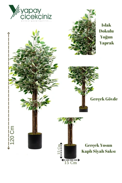 YAPAY ÇİÇEKÇİNİZ 120 Cm Yeşil Beyaz Yapay Benjamin Ağacı - Resim 5