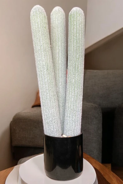 YAPAY ÇİÇEKÇİNİZ Taş Detaylı Siyah Saksıda 3 Gövdeli Gerçek Dokulu Yapay Sukulent Kaktüs Ağacı - Resim 7