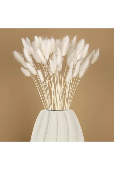 YAPAY ÇİÇEKÇİNİZ Doğal Kurutulmuş Pamuk Otu, Tavşan Kuyruğu Gelin Buketi Aranjman Çiçeği Lagurus 60 Dal