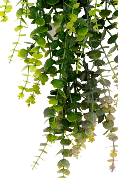 Yapay Çiçek Siyah Renkli Saksısında Taş Detaylı Yeşil Okaliptus Sarkıtı - Resim 4