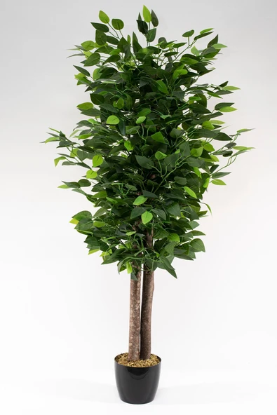 YAPAY ÇİÇEKÇİNİZ Siyah Saksıda Yoğun Yapraklı 100 Cm Yapay Benjamin Ağacı ürün görseli