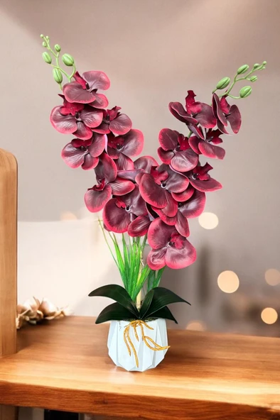 Beyaz Renkli Beton Saksıda 2 Dallı Islak Dokulu Yüksek Kaliteli Yapay Orkide - Resim 12