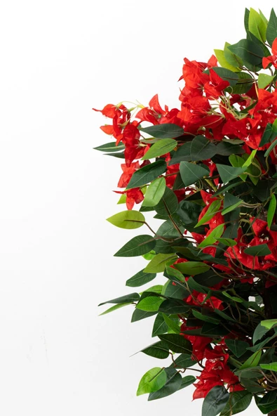 YAPAY BEGONVİL AĞACI - Resim 2