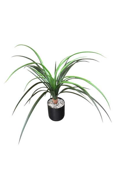 YAPAY ÇİÇEKÇİNİZ TAŞ KAPLI SİYAH RENKLİ SAKSIDA 55 CM YAPAY YUKA AĞACI - Resim 7