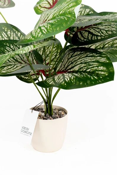 Taş Detaylı Beyaz Saksıda 12 Yapraklı 50 cm Yapay Salon Çiçeği - Resim 3