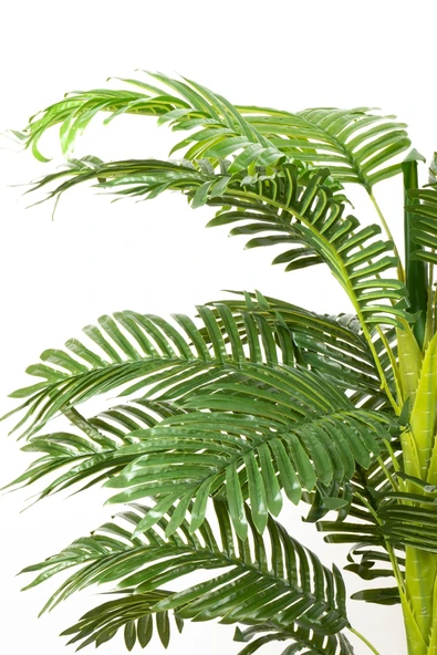 YAPAY ÇİÇEKÇİNİZ 130 Cm Yapay Areka Ağacı 22 Dallı - Resim 3