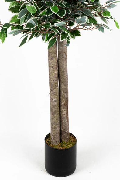 YAPAY ÇİÇEKÇİNİZ Siyah Saksıda Çim Detaylı Yapay Benjamin Starlight Ağacı 150 Cm - 3