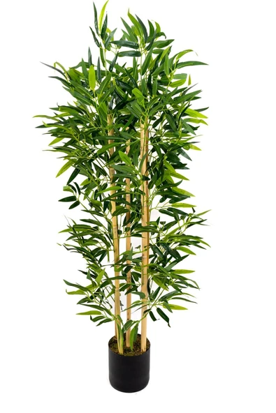 YAPAY ÇİÇEKÇİNİZ 5 Gövdeli Yoğun Yapraklı 120 Cm Yapay Bambu Ağacı - Resim 5