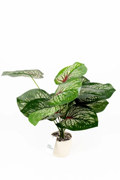 Taş Detaylı Beyaz Saksıda 12 Yapraklı 50 cm Yapay Salon Çiçeği - Resim 4