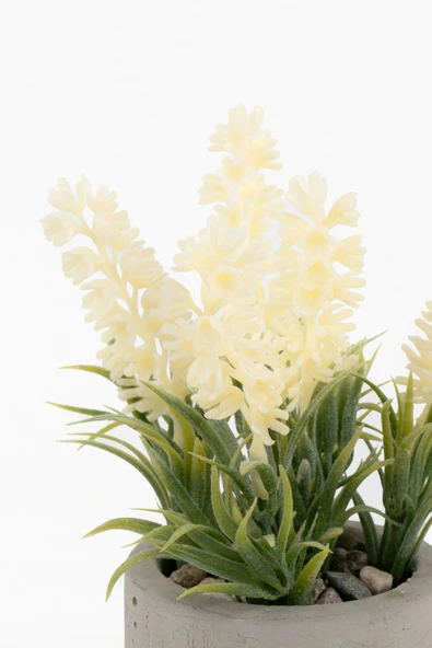 GRİ BETON SAKSIDA MOR RENKLİ YAPAY LAVANTA DEMETİ - Resim 5