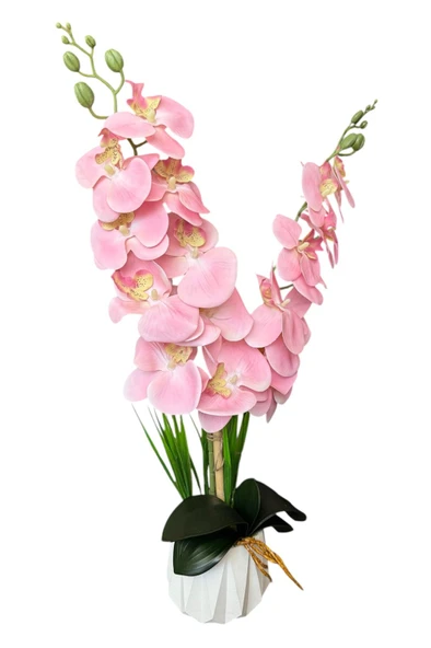 Beyaz Renkli Beton Saksıda 2 Dallı Islak Dokulu Yüksek Kaliteli Yapay Orkide ürün görseli 1