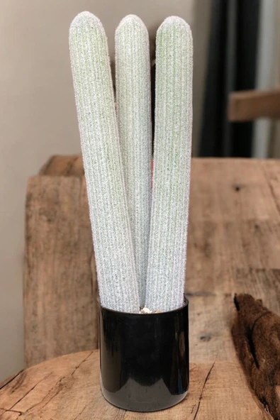 YAPAY ÇİÇEKÇİNİZ Taş Detaylı Siyah Saksıda 3 Gövdeli Gerçek Dokulu Yapay Sukulent Kaktüs Ağacı - Resim 6