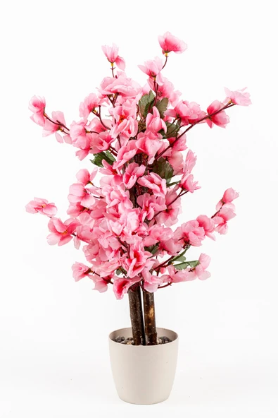 Taş Detaylı Siyah Saksıda 60 Cm Yoğun Yapraklı Yapay Benjamin Ağacı - Resim 7