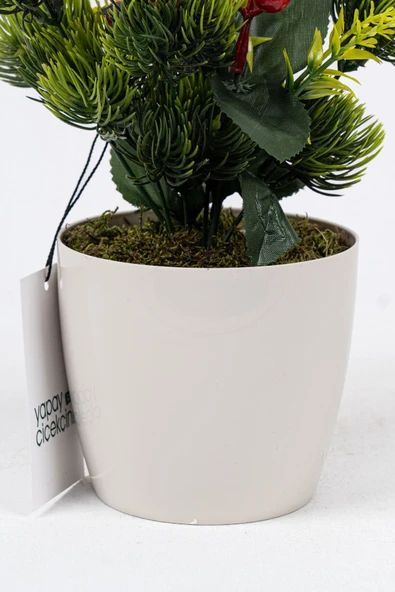 Saksıda Kokina Tanzimli Yapay Yılbaşı Çiçeği - Resim 9